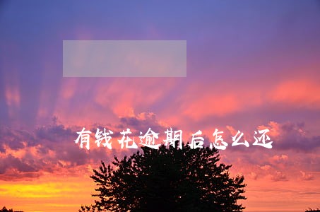 有钱花逾期后怎么还 有钱花逾期后怎么还