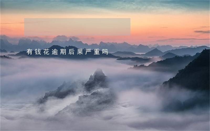 有钱花逾期后果严重吗 有钱花逾期后果严重吗