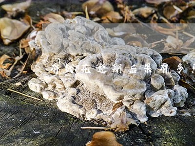 有钱花逾期后果有多严重 有钱花逾期后果有多严重