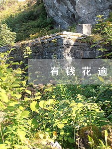 有钱花逾期后每月还100可以吗 有钱花逾期后每月还100可以吗