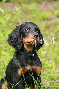 有钱花逾期后流程 有钱花逾期后流程