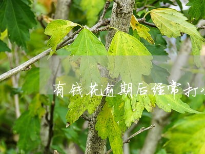 有钱花逾期后经常打公司电话 有钱花逾期后经常打公司电话