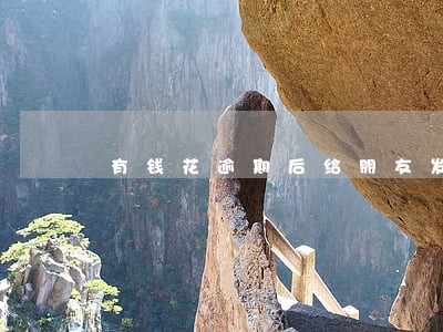 有钱花逾期后给朋友发短信