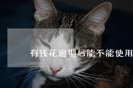 有钱花逾期后能不能使用