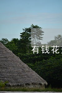 有钱花逾期后还可以借款吗 有钱花逾期后还可以借款吗
