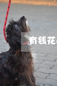 有钱花逾期后还能借款么 有钱花逾期后还能借款么