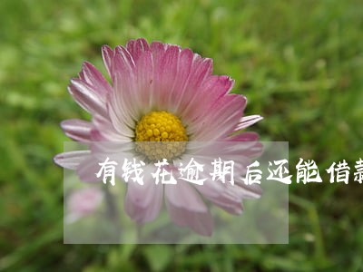 有钱花逾期后还能借款吗 有钱花逾期后还能借款吗