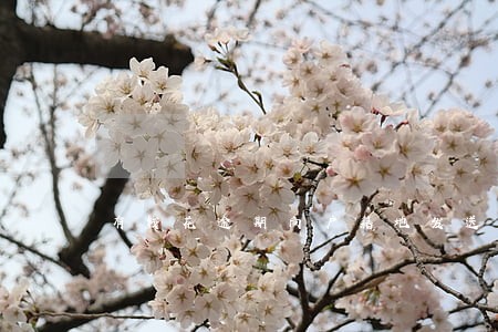 有钱花逾期向户籍地发送相关函件 有钱花逾期向户籍地发送相关函件