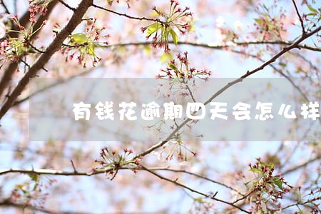 有钱花逾期四天会怎么样 有钱花逾期四天会怎么样
