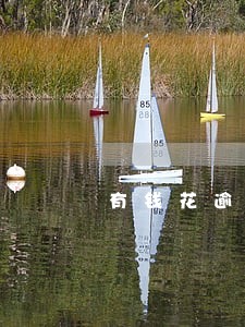 有钱花逾期在哪里显示 有钱花逾期在哪里显示