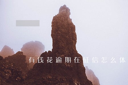 有钱花逾期在征信怎么体现 有钱花逾期在征信怎么体现