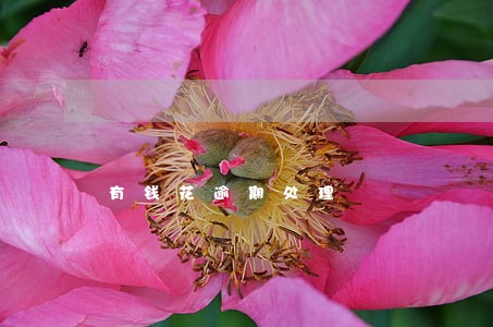 有钱花逾期处理 有钱花逾期处理