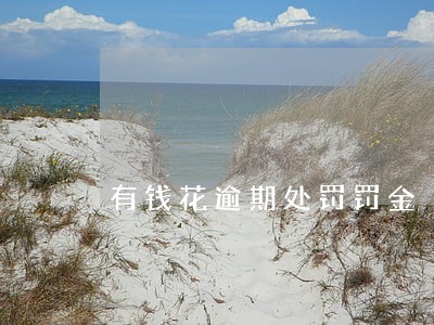 有钱花逾期处罚罚金 有钱花逾期处罚罚金