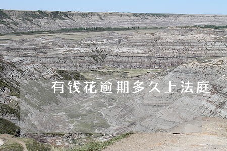 有钱花逾期多久上法庭 有钱花逾期多久上法庭