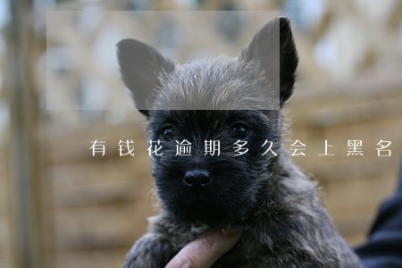有钱花逾期多久会上黑名单 有钱花逾期多久会上黑名单