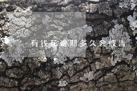 有钱花逾期多久会被告 有钱花逾期多久会被告