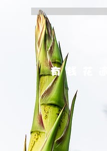 有钱花逾期多久会被爆通讯录 有钱花逾期多久会被爆通讯录