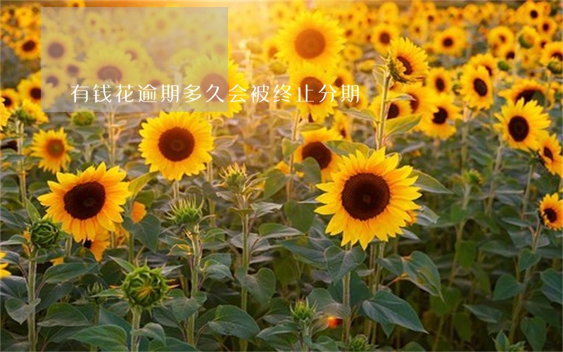 有钱花逾期多久会被终止分期 有钱花逾期多久会被终止分期