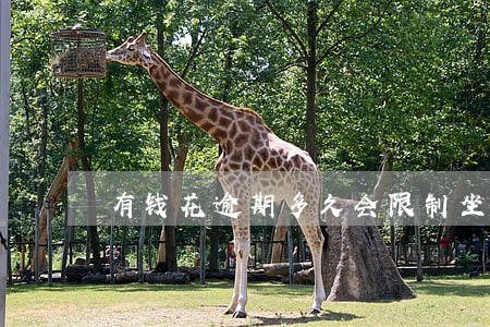 有钱花逾期多久会限制坐车 有钱花逾期多久会限制坐车
