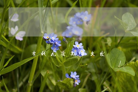 有钱花逾期多久发 有钱花逾期多久发