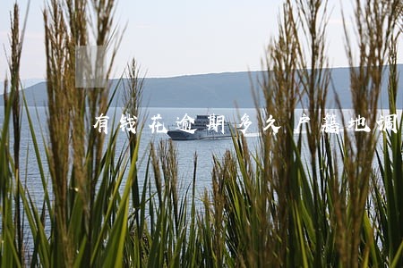有钱花逾期多久户籍地调查怎么办 有钱花逾期多久户籍地调查怎么办
