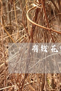 有钱花逾期多久才上征信呢 有钱花逾期多久才上征信呢