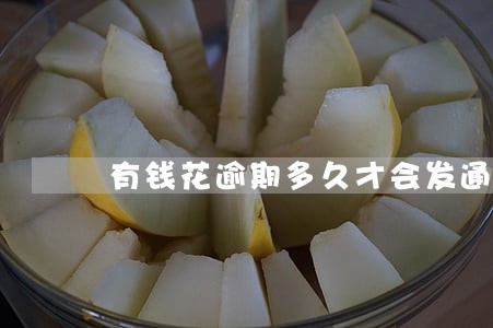 有钱花逾期多久才会发通知书给你 有钱花逾期多久才会发通知书给你