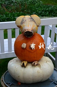 有钱花逾期多久打电话给家人 有钱花逾期多久打电话给家人