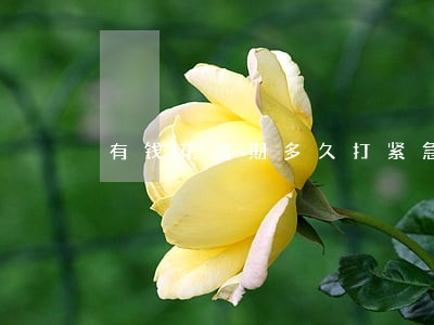 有钱花逾期多久打紧急联系人 有钱花逾期多久打紧急联系人