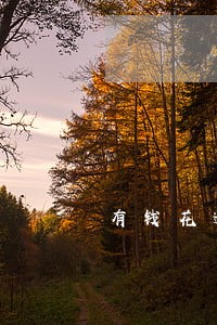 有钱花逾期多久打联系人电话 有钱花逾期多久打联系人电话