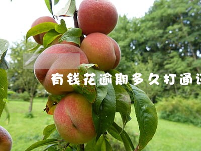 有钱花逾期多久打通讯录 有钱花逾期多久打通讯录