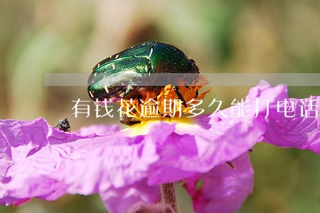 有钱花逾期多久能打电话 有钱花逾期多久能打电话