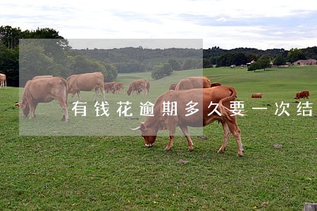 有钱花逾期多久要一次结清
