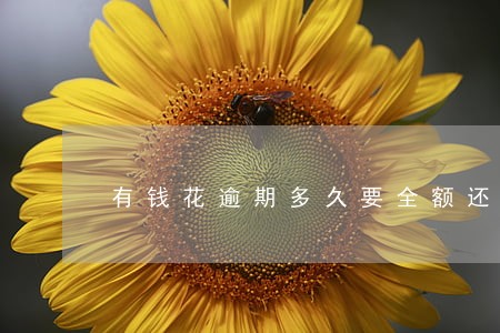 有钱花逾期多久要全额还款 有钱花逾期多久要全额还款