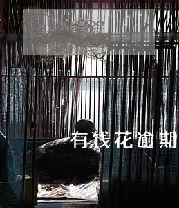 有钱花逾期多久进黑名单 有钱花逾期多久进黑名单