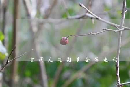 有钱花逾期多会爆电话 有钱花逾期多会爆电话