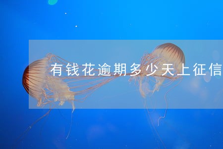 有钱花逾期多少天上征信 有钱花逾期多少天上征信
