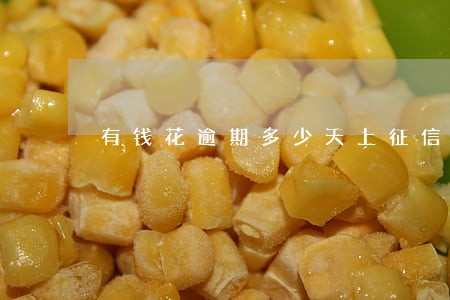 有钱花逾期多少天上征信报告 有钱花逾期多少天上征信报告
