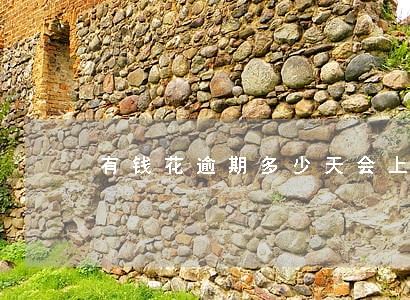 有钱花逾期多少天会上门 有钱花逾期多少天会上门
