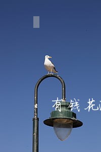 有钱花逾期多年会不会上征信 有钱花逾期多年会不会上征信