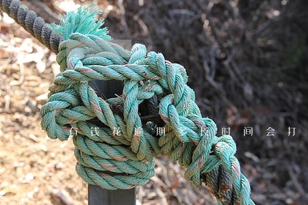 有钱花逾期多长时间会打电话 有钱花逾期多长时间会打电话