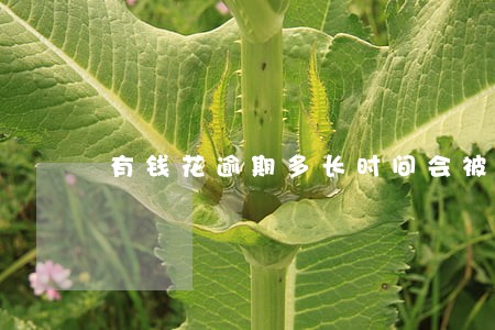 有钱花逾期多长时间会被上诉 有钱花逾期多长时间会被上诉