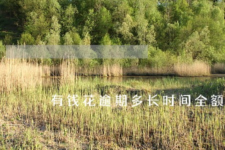 有钱花逾期多长时间全额还款 有钱花逾期多长时间全额还款