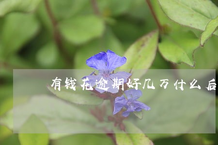 有钱花逾期好几万什么后果