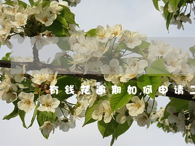 有钱花逾期如何申请二次分期 有钱花逾期如何申请二次分期
