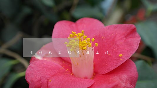 有钱花逾期威胁上门 有钱花逾期威胁上门