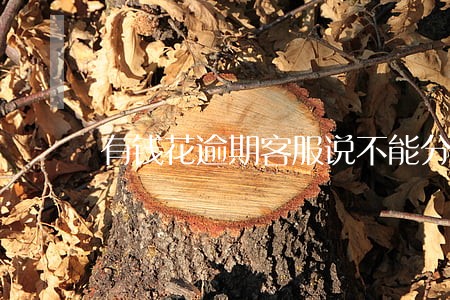 有钱花逾期客服说不能分期了 有钱花逾期客服说不能分期了