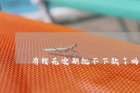有钱花逾期就不下款了吗 有钱花逾期就不下款了吗