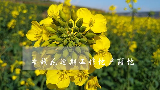 有钱花逾期工作地户籍地 有钱花逾期工作地户籍地