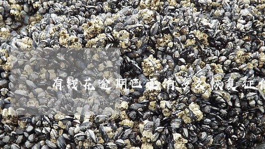 有钱花逾期已还清多久恢复征信